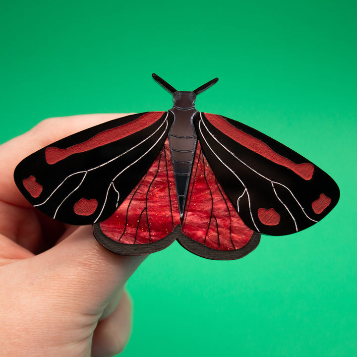 Dolly Dimple Design : Cinnabar Moth Acrylic Brooch