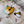 Bright and Bubbly : Silvia's Adventures : Bee Brooch