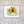 Bright and Bubbly : Silvia's Adventures : Queen Bee Silvia Brooch