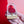 Cherryloco : Valentines : Heart in a bell jar brooch
