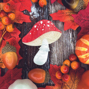 Kimchi & Coconut : Halloween : Magic mushroom brooch