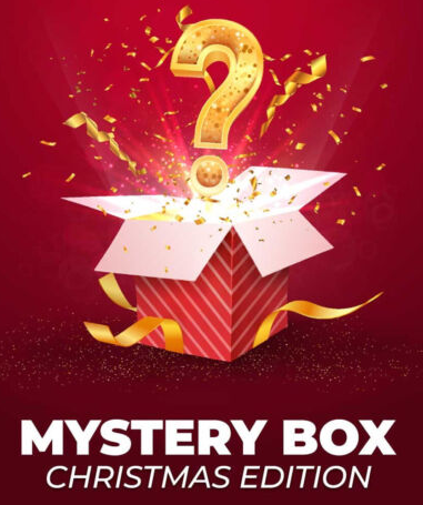 Christmas Mystery Box - Brooch
