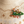 LaliBlue : Christmas : Family with Christmas tree brooch