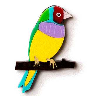 Martinis & Slippers :  Gouldian Finch Brooch