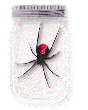 Martinis & Slippers : Killer Red Back Spider Jar Brooch