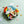 LaliBlue : Solidarity Collection : Hippie girl brooch - Large