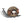 LaliBlue : Nature : Snail Brooch