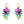 LaliBlue : Tiki : Wild Flower Earrings