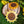 Cherryloco : Sunflower of life necklace